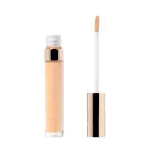 Fruit Pigmented® 2nd Skin Concealer
